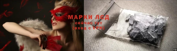 PSILOCYBIN Белоозёрский