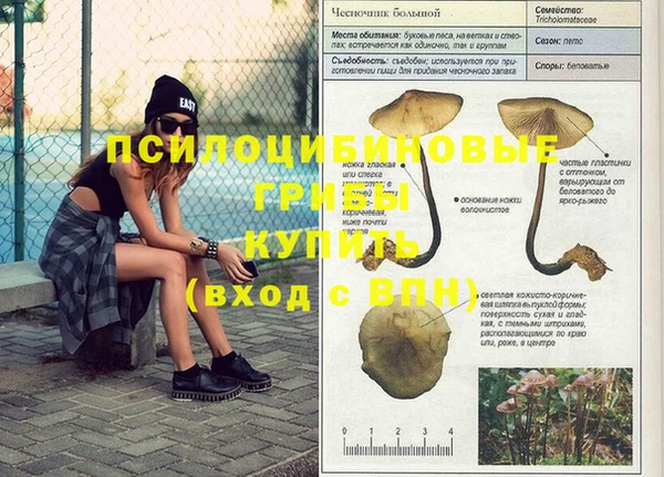 PSILOCYBIN Белоозёрский
