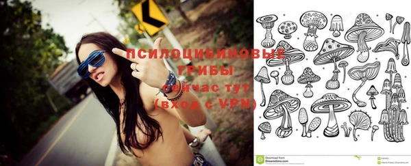 PSILOCYBIN Белоозёрский