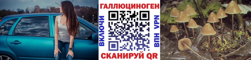 Галлюциногенные грибы мицелий магазин продажи наркотиков Нестеров